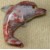 stein-delphin-rot.jpg