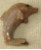 stein-delphin-braun.jpg